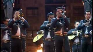 Mariachi Nuevo Tecalitlan Popurri Pasos dobles [upl. by Fisa]