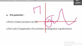 Le potentiel daction [upl. by Attenauqa]