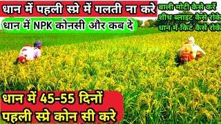 धान में पहली स्प्रे में क्या क्या दे  control sheath blight in rice  hexaconazole  imidaclopride [upl. by Hanikas]