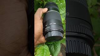 75 300mm zoom lens canonphotography canon photography pubgmobile [upl. by Euqnomod398]