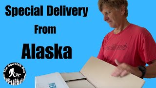 Alaska AdVANture Special Delivery From Alaska [upl. by Eico425]