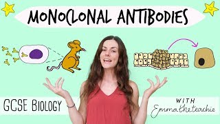 Monoclonal Antibodies  GCSE Biology Revision for 2020 [upl. by Evans356]