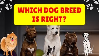 Top Dog Breeds Explained by a Vet [upl. by Direj]