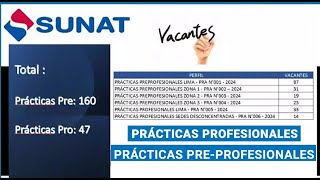 BALOTARIOS PRACTICAS PROFESIONALES Y PREPROFESIONALES SUNAT 2024 BASES DEL PROCESO DE SELECCION [upl. by Notecnirp]