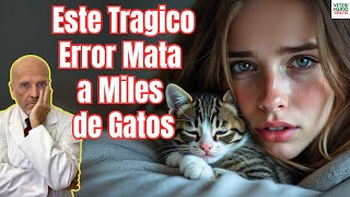 🆘 ¡CUIDADO CON ESTE PELIGROSO ERROR YA QUE MATARA A TU GATO 🆘 [upl. by Joshi728]