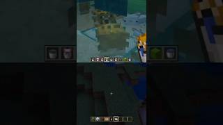 criadero de ajolotes minecraft minercaft shortsfeed ajolotes ajolote [upl. by Grenier]