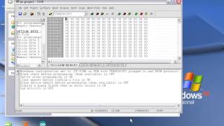 program stm8 based boards [upl. by Stock605]