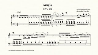 Bach Adagio BWV 974 [upl. by Kaitlin]