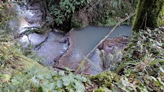 CASCATE NASCOSTE NELLA GOLA LATERALE DI PONTE LUPO RM cascate luoghisegretiaduepassidaroma [upl. by Olmstead317]