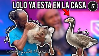 JUAN ANIBAL YA PUDO RECUPERAR A SU MASCOTA LOLO [upl. by Vizza]