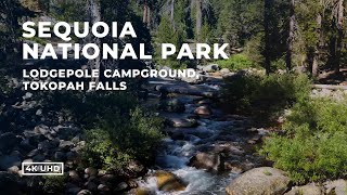 Sequoia National Park Lodgepole Campground Tokopah Falls [upl. by Odele]