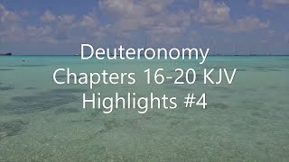 Deuteronomy Chapters 1620 KJV Highlights 4 [upl. by Ellennahs]