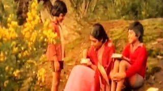 Tamil Songs  Pillai Nila  பிள்ளை நிலா இரண்டும்  Neengal Kettavai  Ilaiyaraja Hit Songs [upl. by Jahn]