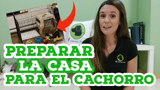 PREPARAR LA CASA PARA LA LLEGADA DEL CACHORRO  Educación canina  Diéresis animal Tv [upl. by Ozmo]