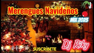 🎄MIX NAVIDEÑO 2024  Los Mejores Merengues Navideños en vivo [upl. by Kemble751]