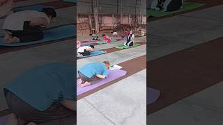 Best yogaasana for those suffering from diabetes Mandukasanafrog pose shorts mandukasana yoga [upl. by Alled12]