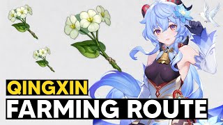 Qingxin Farming Route Qingxin Location  Genshin Impact [upl. by Freda]