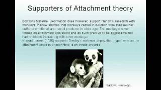 Bowlby and the maternal deprivation hypothesis [upl. by Ruthy125]