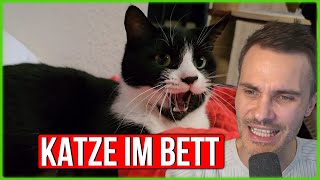 Was die Katze darf mit ins Bett [upl. by Destinee]