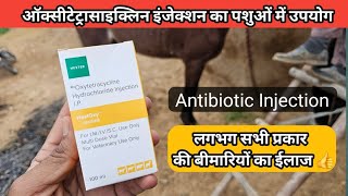 Oxytetracycline Injection ऑक्सीटेटरासाइक्लिन इंजेक्शन का पशु चिकित्सा में उपयोग  Veterinary uses [upl. by Carce]