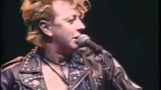 Stray Cats  BeBopALula  Live [upl. by Joellen]