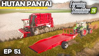 FIRST TIME HARVESTING COTTON  Farming Simulator 25  Hutan Pantai  Episode 51 [upl. by Roose911]