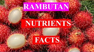 RAMBUTAN FRUIT  HEALTH BENEFITS AND NUTRIENTS FACTS [upl. by Eshman]