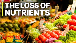 Industry Scandal The Loss Of Nutrients  Full Documentaries [upl. by Urbana]