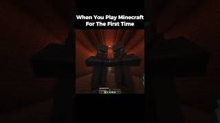 When You Play Minecraft For The First Time minecraft minecraftjokeshindi funny [upl. by Dubois858]