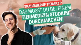 Als Tierarzt im Schlachthof  Dr Karim Montasser über Skandale in der Veterinärmedizin 👨🏻‍⚕️🐾 [upl. by Elokin]