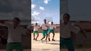 Agadoo dance stepsexplorepage viralvideo shorts ghanacelebrities [upl. by Meisel]