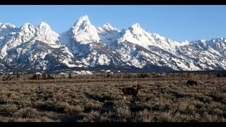 Spring in Jackson Hole [upl. by Attenyw638]