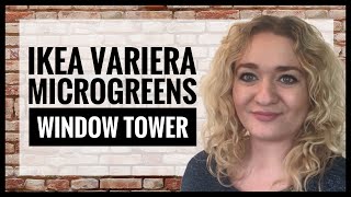 Ikea variera microgreens tower for growing on the the windowsill  micro greens ikea hack [upl. by Darin]