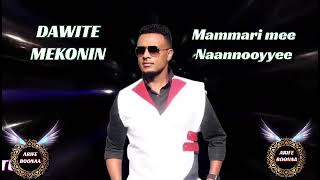 Dawite Mekonin  Mammari Naannooyye  Best Oromo music of all time [upl. by Hotze191]