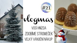 VLOGMAS 21 vosí hnízda stromeček a velký nákup jídla 🎄 [upl. by Eelyma]