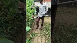 ⚡️ Short Fast Satisfying Weed Eating ⚡️ stihl [upl. by Chelsy]