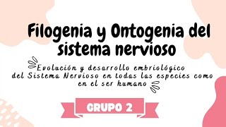 FILOGENIA Y ONTOGENIA DEL SISTEMA NERVIOSO  BASES BIOLÓGICAS DEL COMPORTAMIENTO  UCV✨ [upl. by Anuaek]