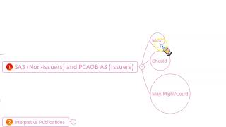 CPA  AUD  Professional Standards [upl. by Boarer]