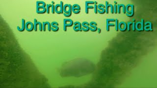 Johns Pass Bridge Fishing [upl. by Shetrit]