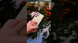 S24 Ultra Under water camera test [upl. by Ahsirek]