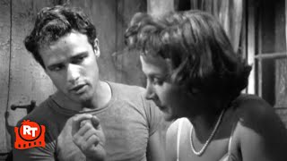 A Streetcar Named Desire 1951  The Napoleonic Code Scene  Movieclips [upl. by Asteria130]