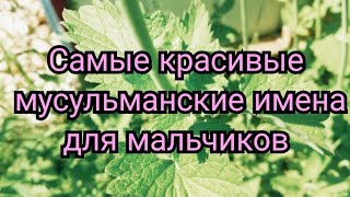 😍САМЫЕ КРАСИВЫЕ МУСУЛЬМАНСКИЕ ИМЕНА ДЛЯ МАЛЬЧИКОВ 🌱 [upl. by Evette812]