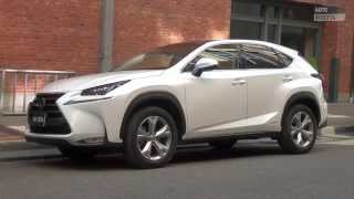 Lexus NX 2014  AutoScout24 [upl. by Toffey]