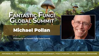 🍄 The Mushroom Revolution Michael Pollan on Psilocybins Potential 🧠  Louie Schwartzberg [upl. by Refynnej350]