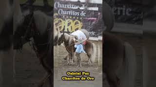 Charritos de Oro GabrielPaz [upl. by Nitnert]