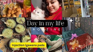 A day in my life  RABIES ki 2nd dose  vloggers wintervlogs vloggerlife [upl. by Aneris]