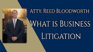 What is Business Litigation [upl. by Saxen]