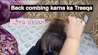 How to do Back Comb basic education by Lashes Beauty Parlour  How to make front puff [upl. by Llevad]