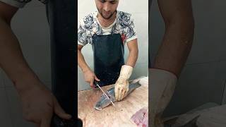 Sea Bass FISH CUTTING [upl. by Gninnahc807]