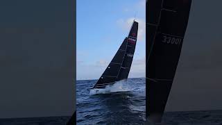 From the Rail  2024 Bird Island Race  Borderline from Crystal Cutter III [upl. by Anemij]